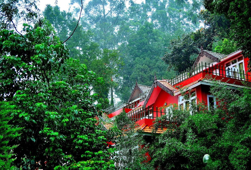 Tea Valley Resort, Devikolam, India