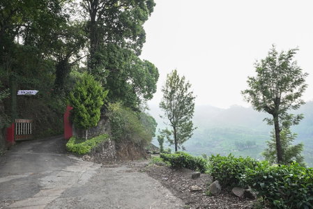 Tea Valley Resort, Devikolam, India