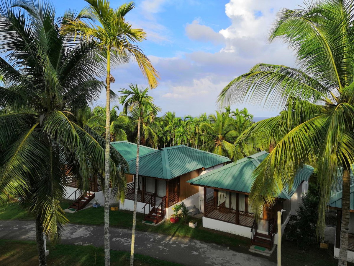 Rainforest Resort, India