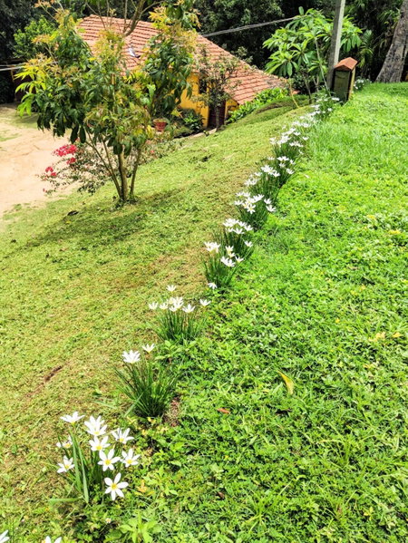 Guddadamane Homestay, Chikmagalūr, India