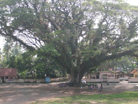 Hebron Inn, Cochin, India
