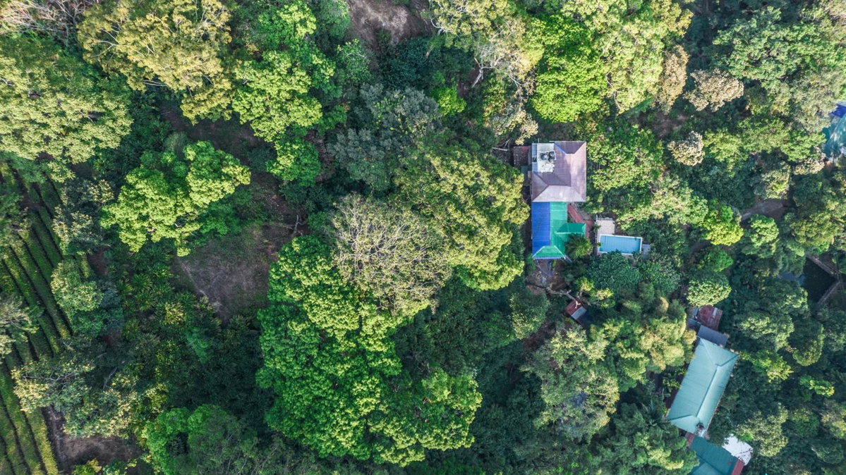 Hotel · Spice Jungle Resort, Munnar