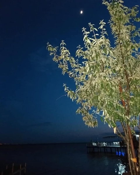 Akcay Yavuz Otel, Edremit, Turkey
