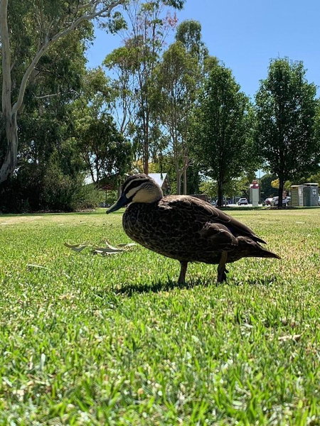 Lovely 2 BR Spa apartment, Opposite Shepp Lake, Shepparton, Australia