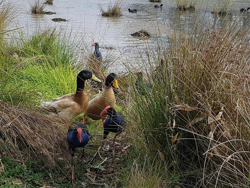 Lovely 2 BR Spa apartment, Opposite Shepp Lake, Shepparton, Australia