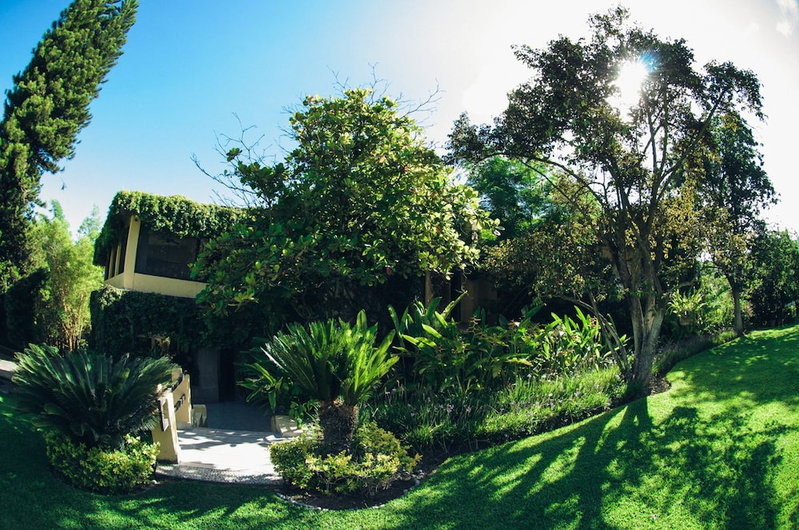 Rancho La Joya, Xochitepec, Mexico