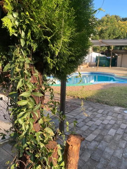 liam travel inn, Nelspruit, South Africa