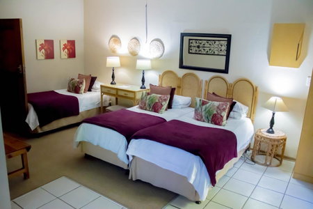 Fisant, Bokmakierie and Hoephoep Guest House, Bethlehem, South Africa