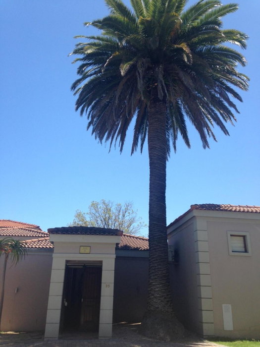 Lord Caledon Guest House, George, South Africa