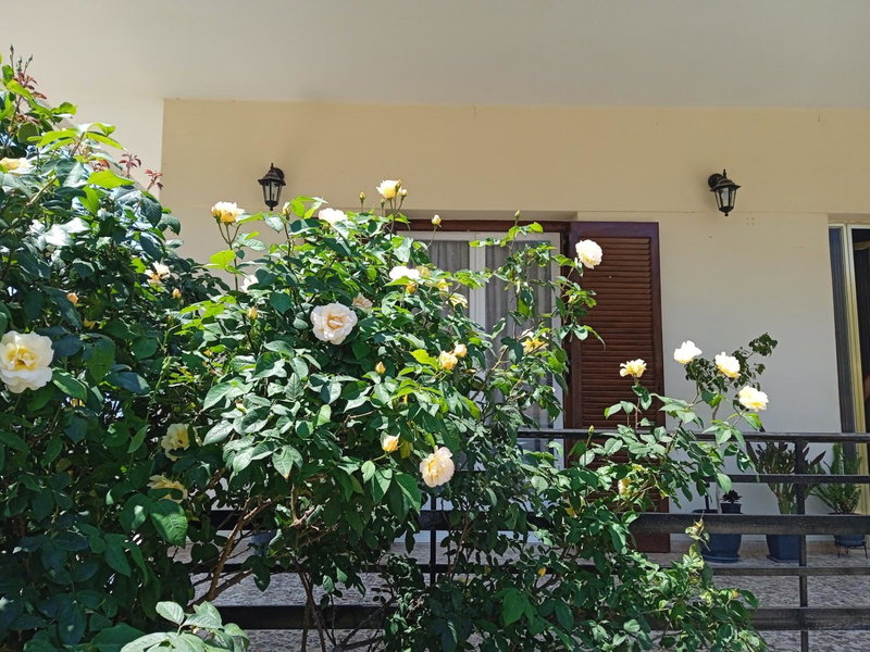 Serene Country House (near Ancient Tiryns), Nafplio, Greece