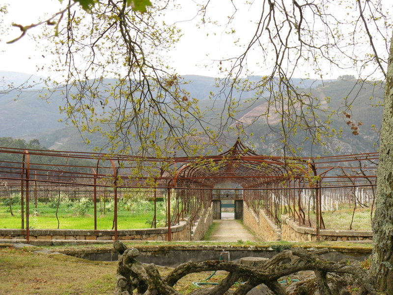 Vila Guiomar - Casa da Eira, Alvarenga, Portugal