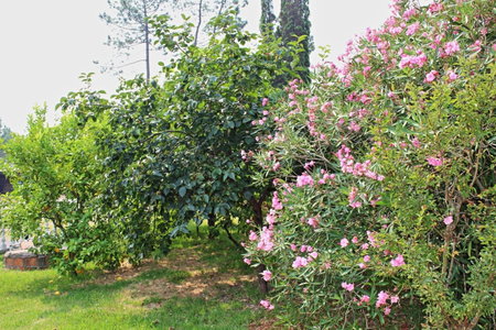 Residencial Pinho Verde, Mealhada, Portugal