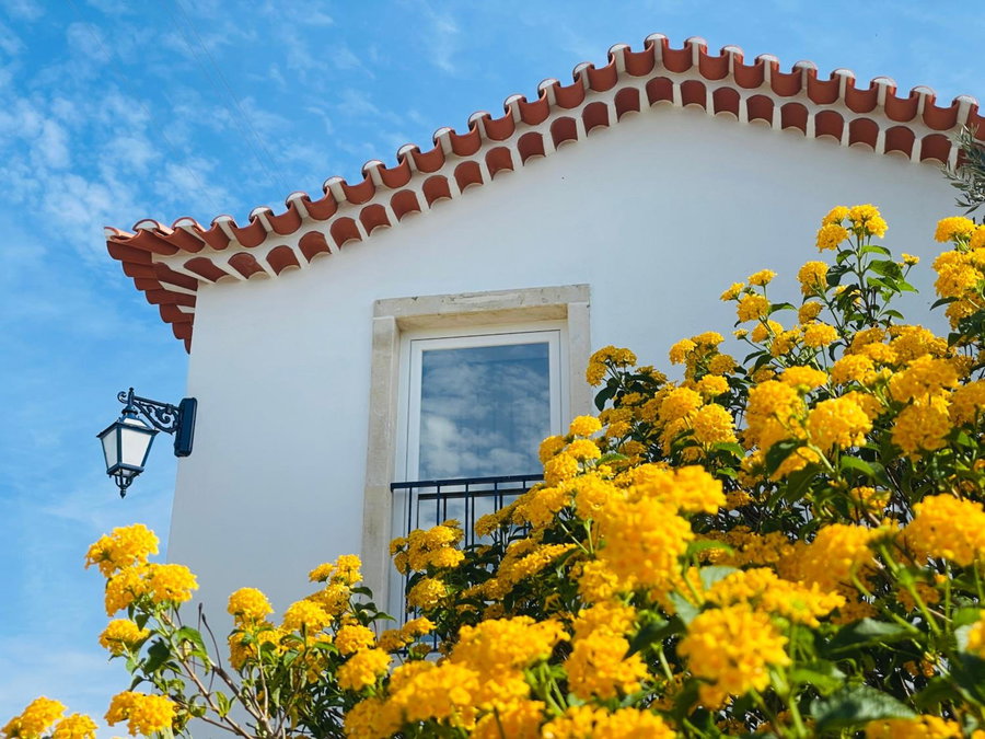 Tufa Guest House, Wellness & SPA - Villa Campus, Corredoura, Portugal