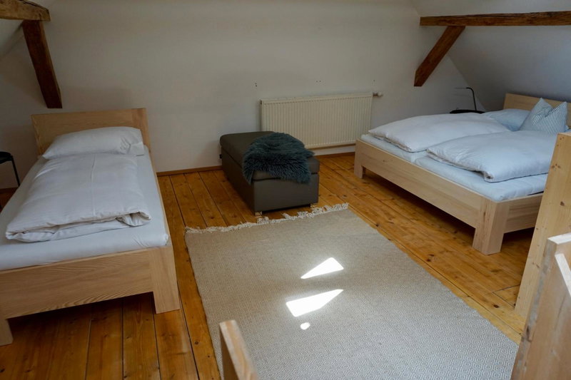 Beeindruckende Wohnung im Rheintal, Götzis, Austria