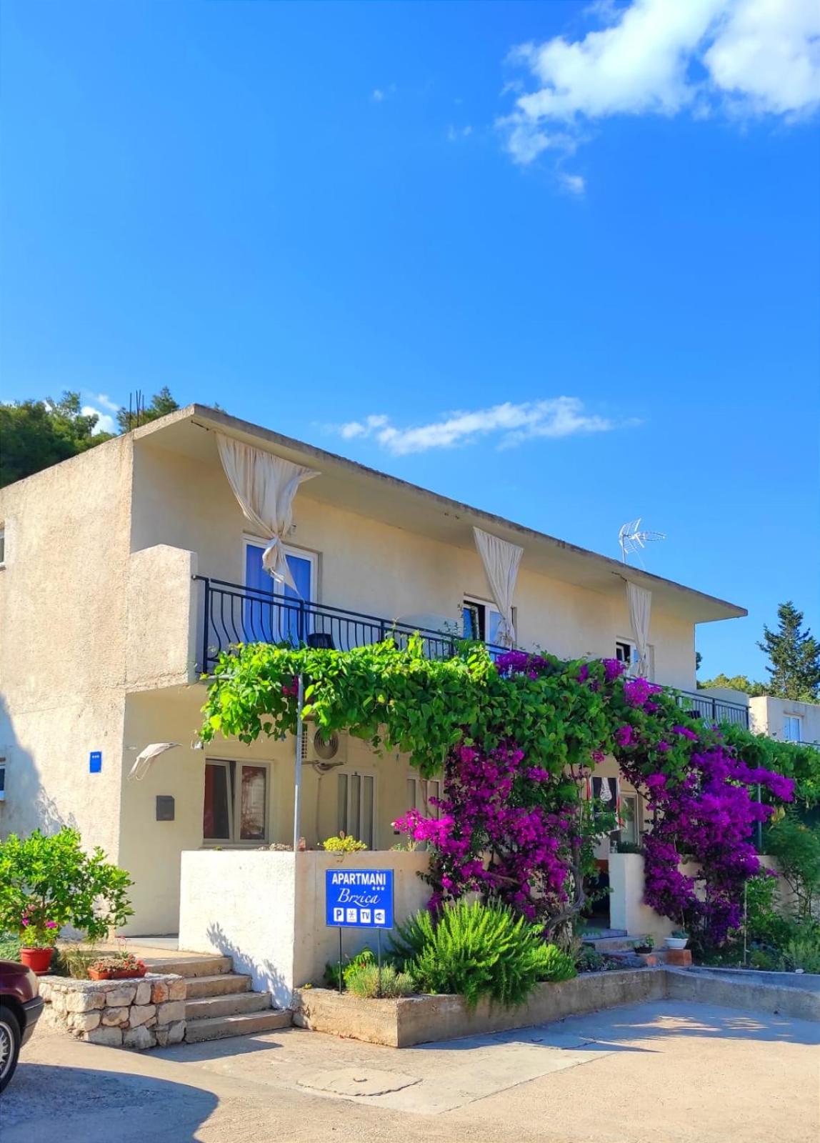 Hotel · Brzica Saplunara, Saplunara