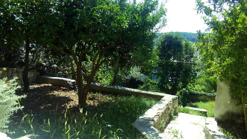 Apartment Emma, Mali Lošinj, Croatia