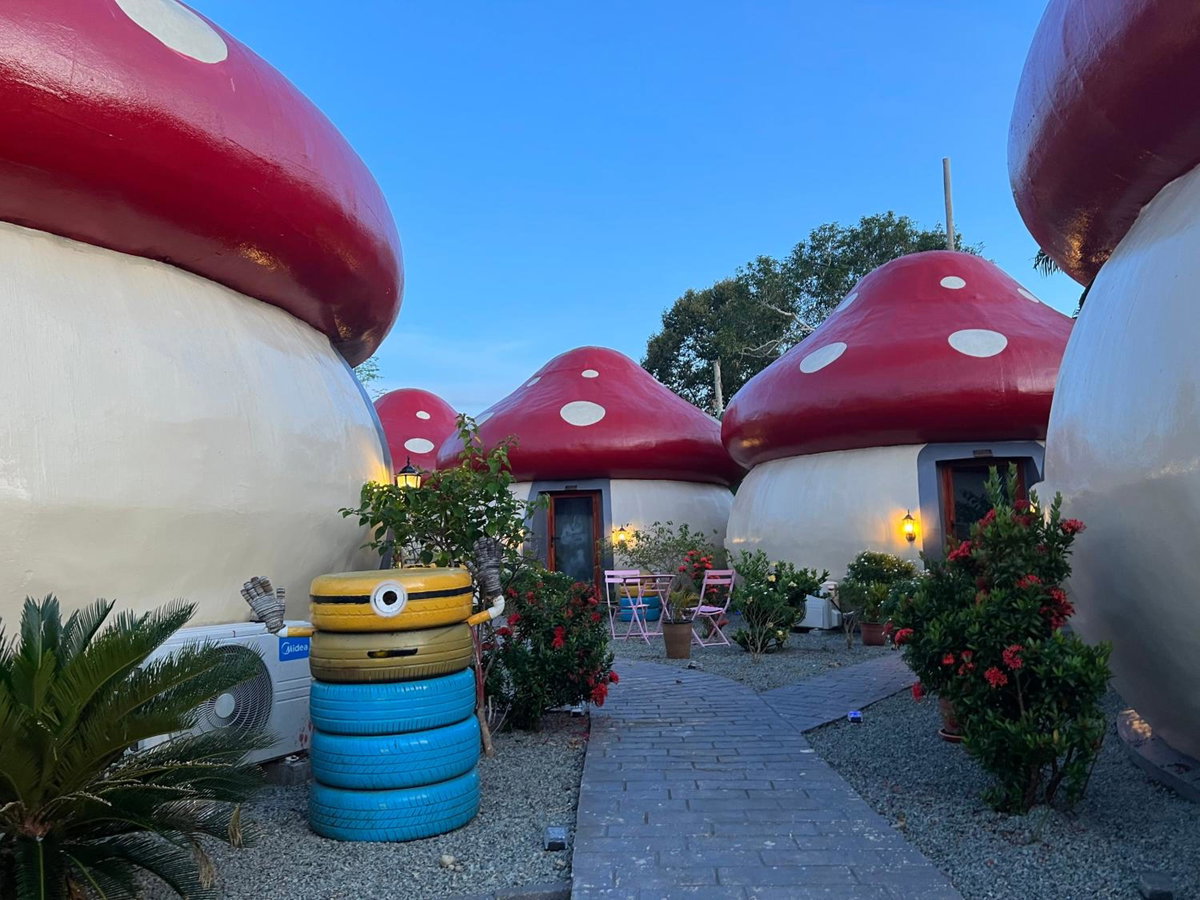 Mushrooms Inn, Malaysia