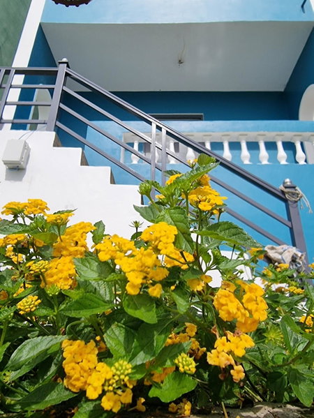 Indochine Villas Tam Chau Bảo Lộc, Bao Loc, Vietnam