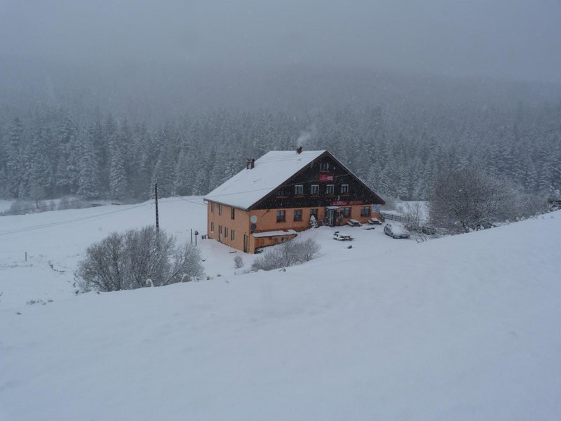 Domaine Des Hauts Viaux, La Bresse, France