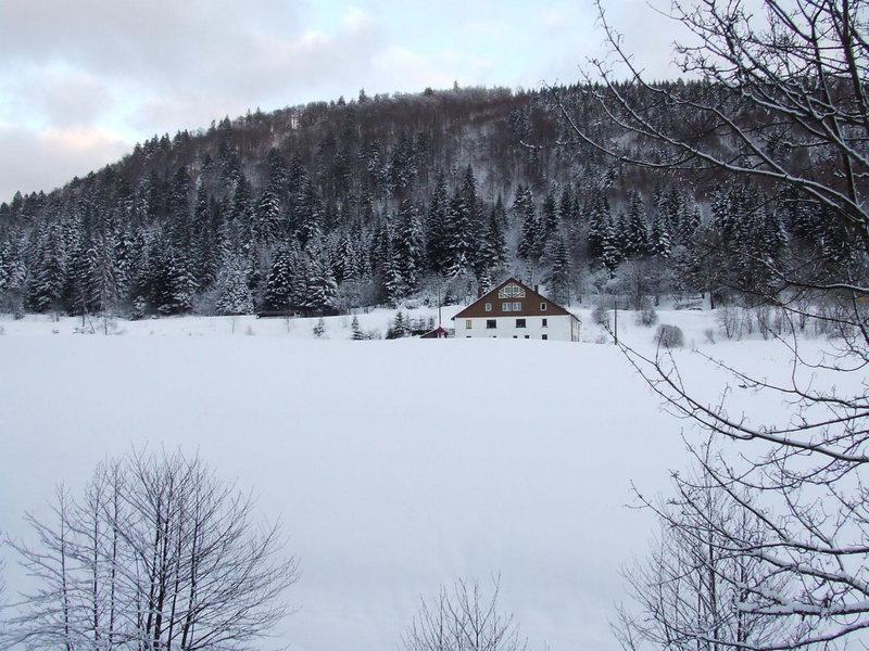 Domaine Des Hauts Viaux, La Bresse, France