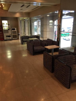 Hotel New Green Plaza, Nagaoka, Japan