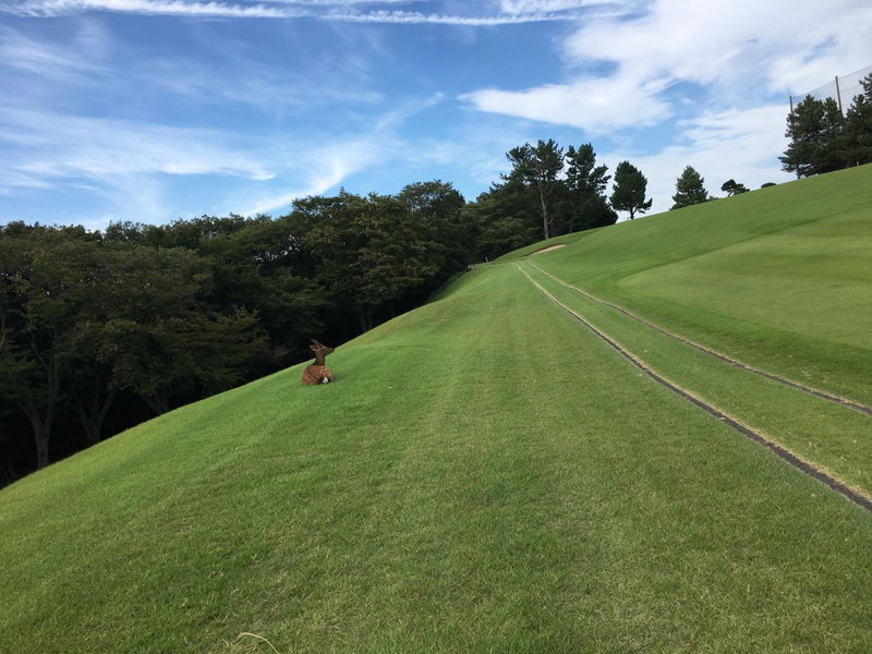 ディアヘッド伊東, Ito, Japan