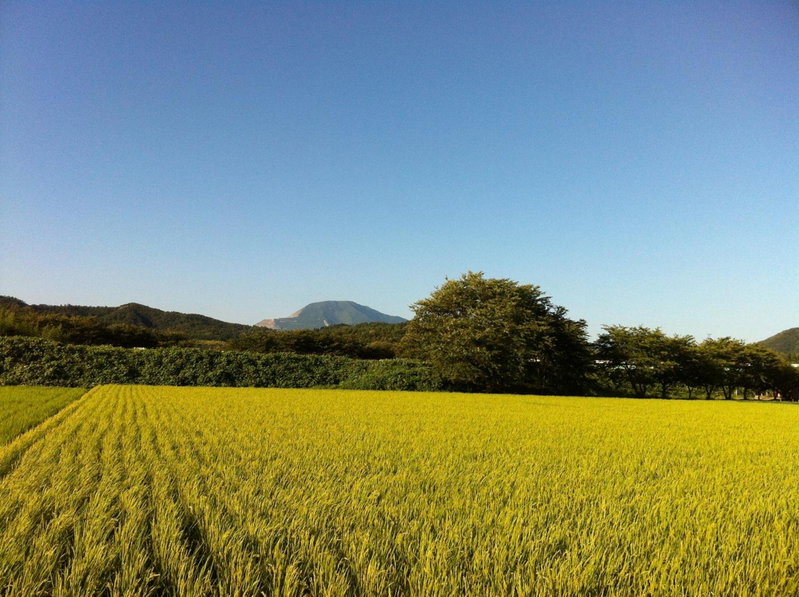 快適なアメリカ製トレーラーハウスで非日常グランピング, Maibara, Japan