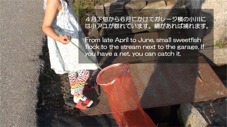 快適なアメリカ製トレーラーハウスで非日常グランピング, Maibara, Japan
