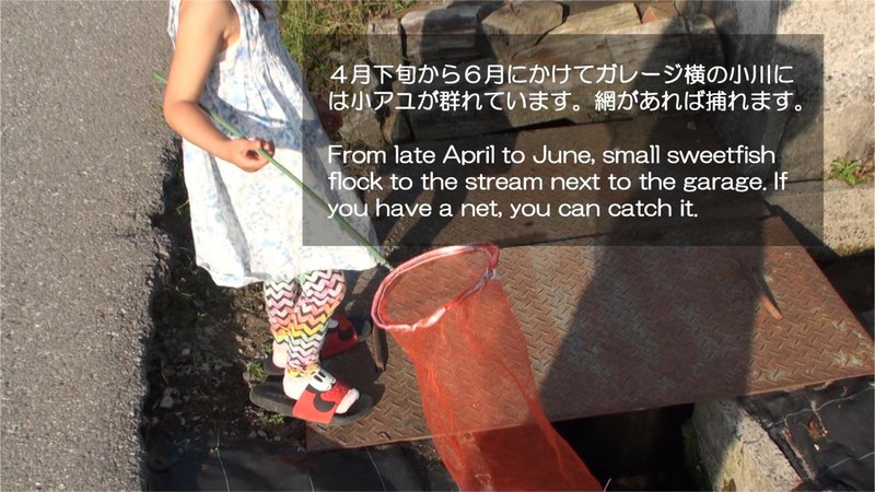 快適なアメリカ製トレーラーハウスで非日常グランピング, Maibara, Japan