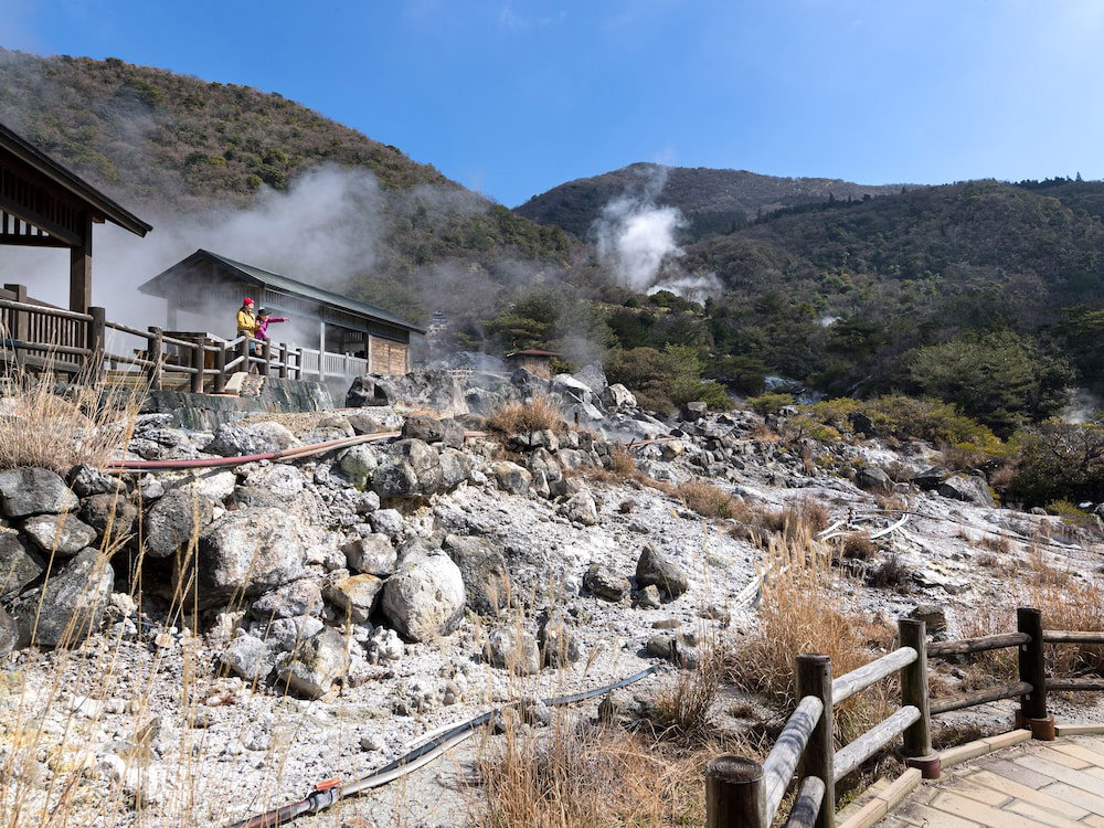 Hotel Seiunso, Japan