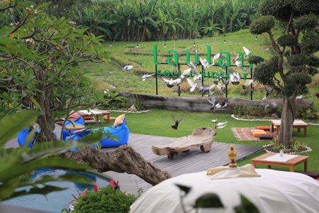 Taulan Villa by Social Hideout, Kerobokan, Indonesia