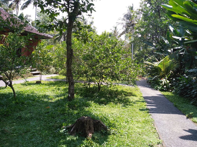 Sanga Suites Villas, Ubud, Indonesia