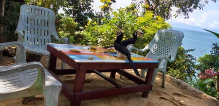 Rattana Bungalow Koh Chang, Koh Chang Ranong, Thailand