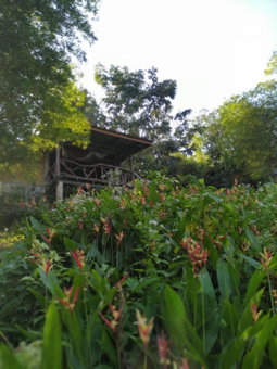 Rattana Bungalow Koh Chang, Koh Chang Ranong, Thailand