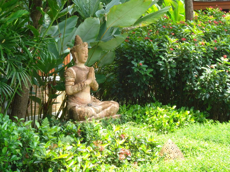 Pa Sak Tong, Chiang Rai, Thailand