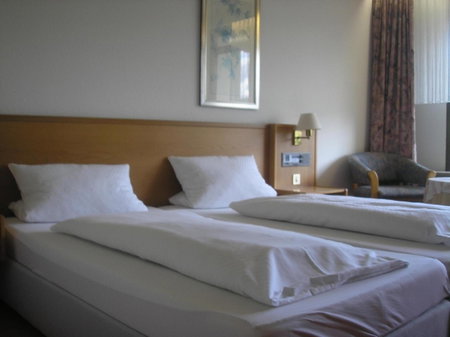 Hotel Rheingold Garni, Titisee-Neustadt, Germany