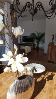 Apartment, Flensburg, Germany