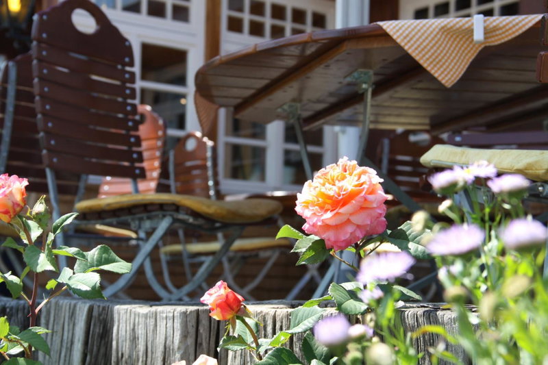 Hotel Adler Bärental, Feldberg, Germany