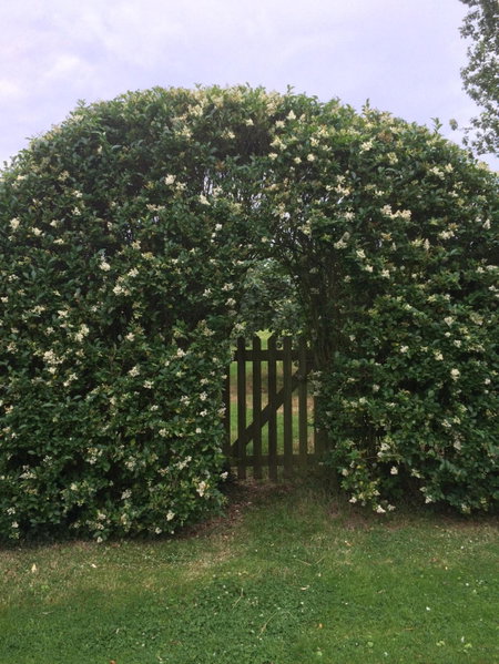 Lime Trees Farm, Bicester, United Kingdom