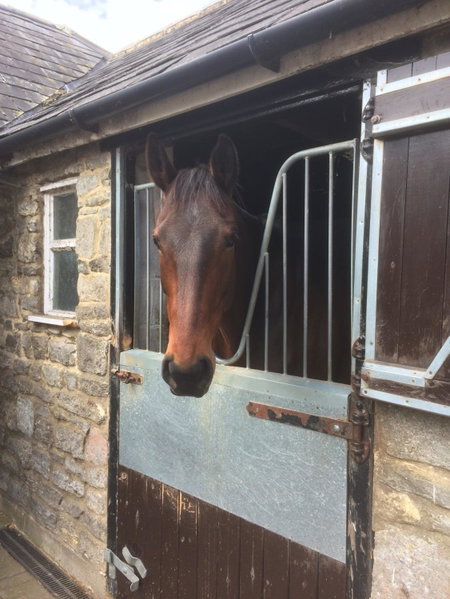 Lime Trees Farm, Bicester, United Kingdom