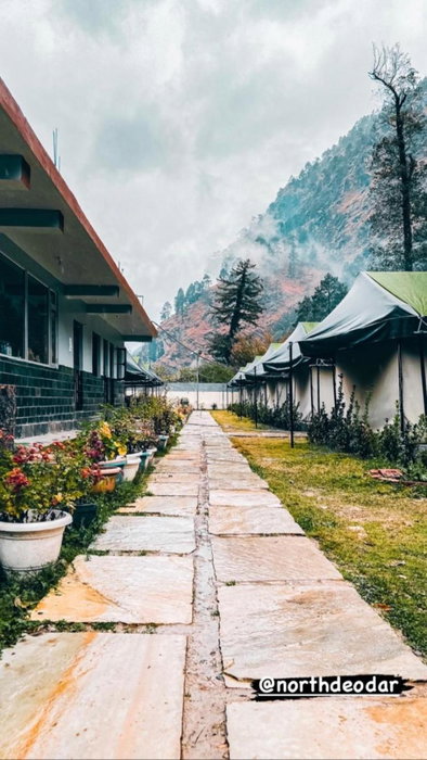 North Deodar Camps, Kasol, India