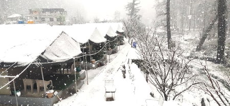 North Deodar Camps, Kasol, India