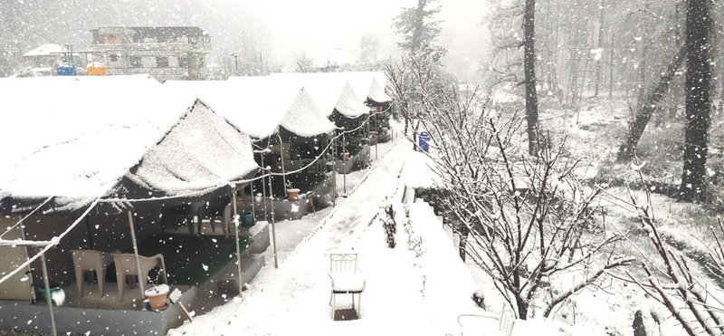 North Deodar Camps, Kasol, India