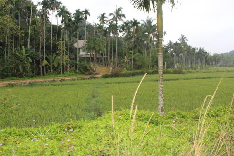 Wayal Wayanad Twin Villa, Panamaram, India