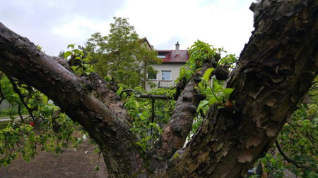 Rent0nline Brwinow Rooms, Brwinów, Poland