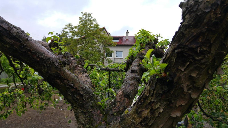 Rent0nline Brwinow Rooms, Brwinów, Poland