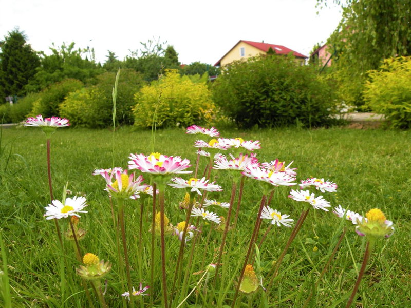 Pokoje Żabi Staw, Mikołajki, Poland