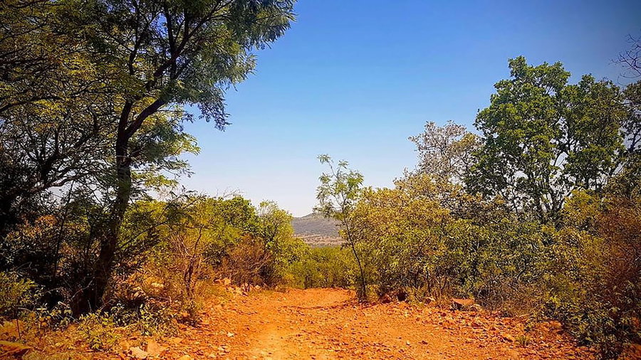 Rocky Hollow Guest Farm, Pretoria, South Africa