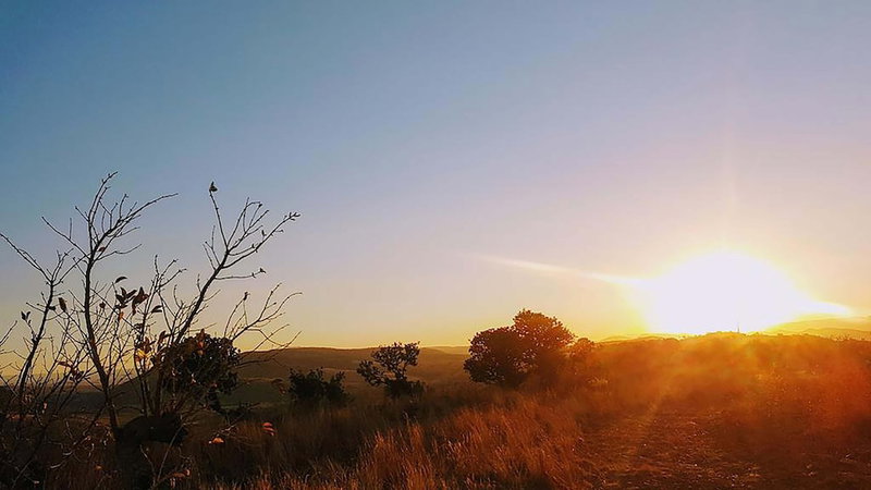Rocky Hollow Guest Farm, Pretoria, South Africa