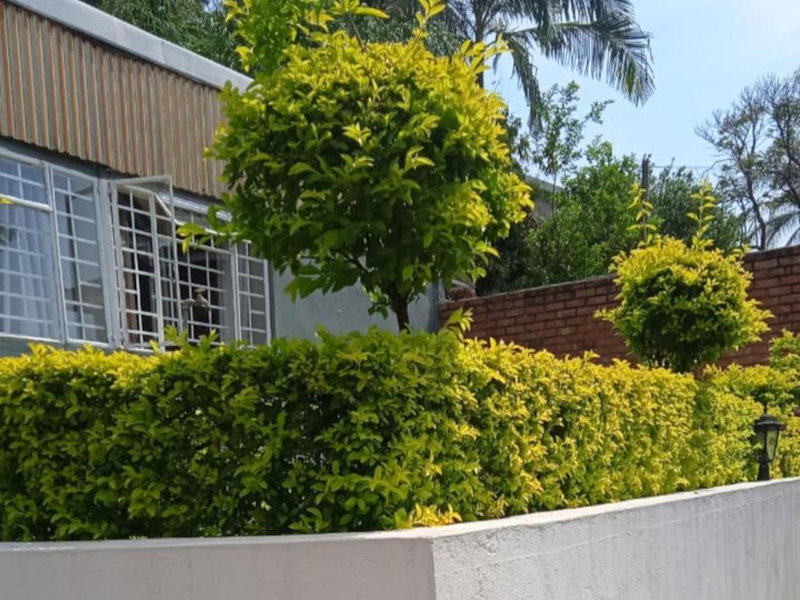Kaste guesthouse Tzaneen, Tzaneen, South Africa